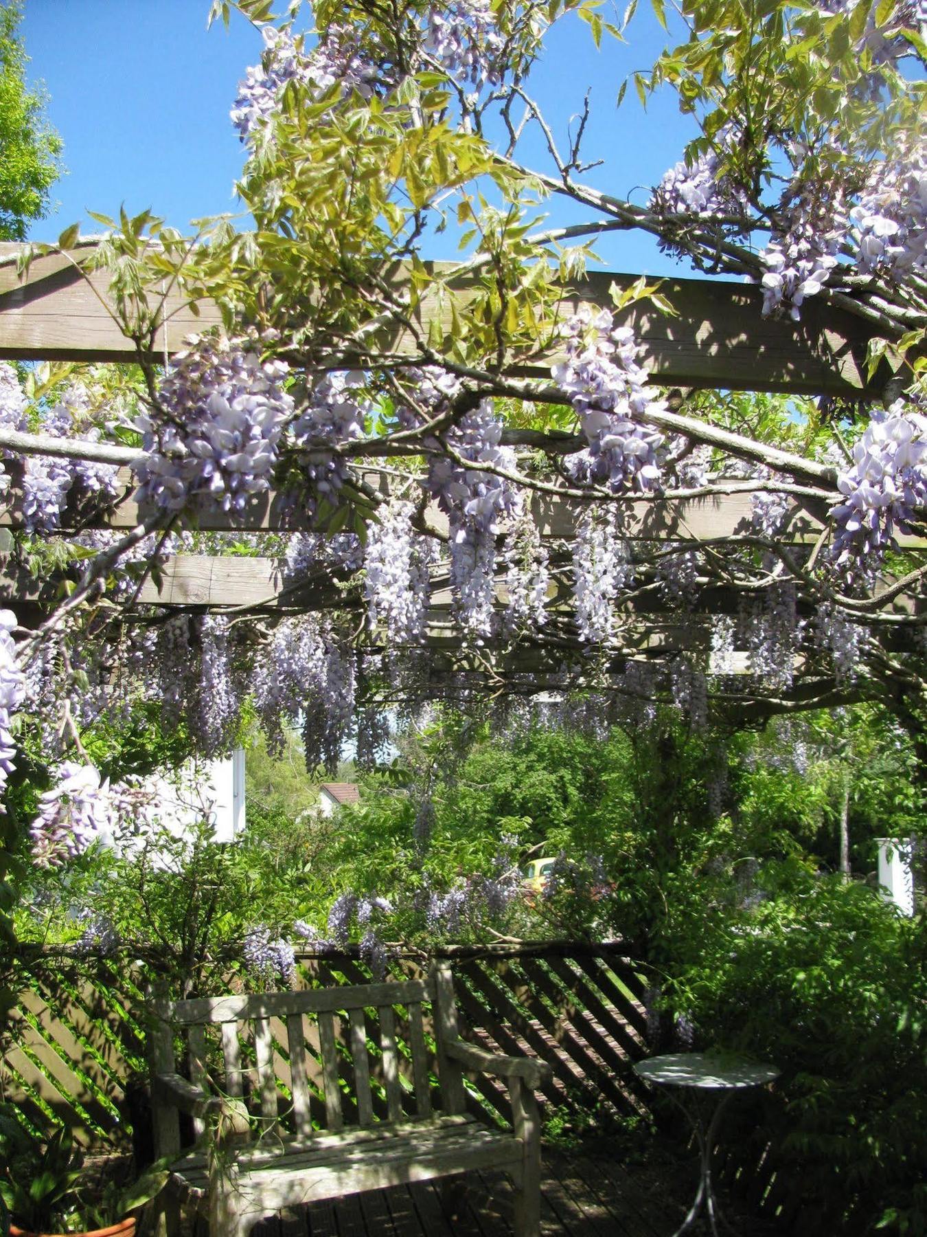 Broadhayes Hotel Totnes Eksteriør billede